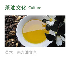 茶油文化